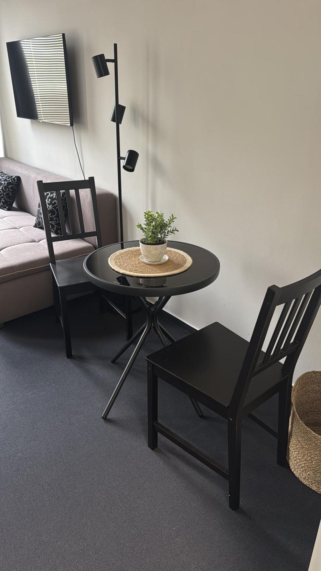 Elbapartment 29 Qm Mit Eigenem Badezimmer Hamburg